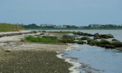 L'érosion côtière due au réchauffement climatique est en train de grignoter la petite réserve de 320 hectares de la tribu amérindienne Shinnecock dans les Hamptons de Long Islande, au nord de New York