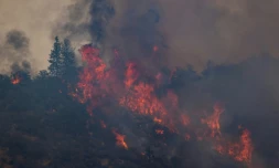 Un incendie ravage une forêt de Californie, le 2 août 2022