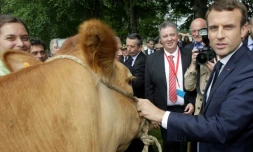 Le président Emmanuel Macron lors d'une visite dans un collÚge agricole à Verneuil-sur-Vienne (Nouvelle-Aquitaine), le 9 juin 2017