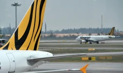 Un Airbus A320 de la compagnie singapourienne Tigerair sur le tarmac de l'aéroport international Changi le 12 novembre 2015 à Singapour