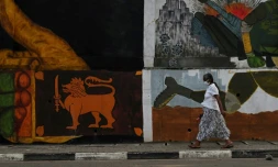 Une passante devant une fresque murale Ă Colombo, le 26 janvier 2021