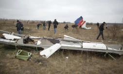 Des morceaux de l'avion MH17 de la Malaysian Airlines sur les lieux du crash, le 11 novembre 2014 prĂšs de Grabove, en Ukraine