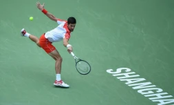 Le Serbe Novak Djokovic lors du Masters 1000 de Shanghai, le 11 octobre 2018