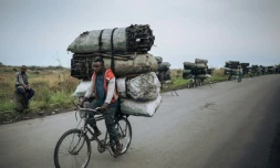 Des cyclistes transportent des sacs de charbon de bois pour les vendre à Goma, le 28 septembre 2019 en RDC