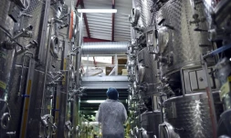 La maison Giffard cultive autant l'innovation que la tradition