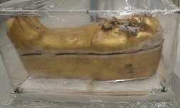 Le sarcophage doré du pharaon Toutùnkhamon en restauration est présenté au Grand musée d'Egypte, au Caire, le 4 août 2019