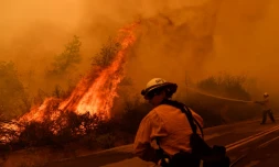 Des pompiers luttent contre un incendie près de Johnsondale, le 22 septembre 2021 en Californie