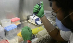 Test de détection de la polio dans un laboratoire du Queens, à New York, le 25 août 2022