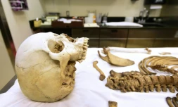 Dans le cabinet de Gregory Hess, médecin légiste dans l'Arizona, le squelette d'une personne ayant tenté de traverser la frontière entre le Mexique et les Etats-Unis