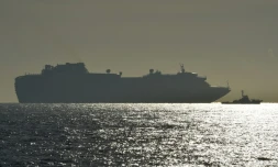 Le paquebot "Diamond Princess" et ses 3.700 passagers, à l'ancre au large du port de Yokohama, le 5 février 2020