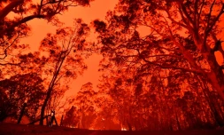 Le ciel de l'après-midi rouge à cause des feux de brousse dans la zone autour de la ville de Nowra dans l'état australien de la Nouvelle-Galles du Sud, le 31 décembre 2019