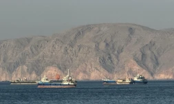 Des navires à l'ancre dans le détroit d'Ormuz au large d'Oman, le 17 mai 2026
