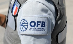 La population de loups sauvages ne pouvant être comptée précisément, l'Office français de la biodiversité (OFB), organisme public en charge du suivi du loup, publie une fourchette