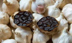 L'ail noir: une méthode japonaise transcende  la plante potagère pour l'élever au rang de produit de luxe, le 8 décembre 2016 à Billon, près de Clermont-Ferrand