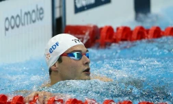 Florent Manaudou, vainqueur du 50 m nage libre des Championnats d'Europe Ă  Londres