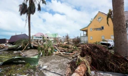Les dégâts après le passage de l'ouragan Irma sur l'île de Saint-Martin, le 7 septembre 2017