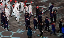 La délégation française (d) défile lors de la cérémonie de clôture des JO de Pyeongchang, le 25 février 2018