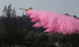 Un avion de lutte contre les incendies près de Bet Shemesh, dans le centre d'Israël, le 1er mai 2025