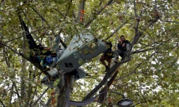 Thomas Brail, opposant au projet d'autoroute Toulouse-Castres, installé dans un arbre face au ministère de la Transition écologique, le 18 septembre 2023 à Paris