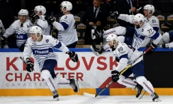 Les joueurs français exultent après leur victoire face à la Suisse au Mondial, le 9 mai 2017 à Paris