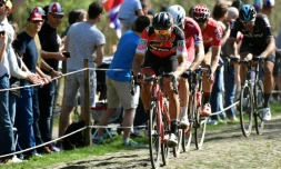 Le Belge Greg Van Avermaet (en tête) lors d'un secteur pavé de Paris-Roubaix, le 9 avril 2017