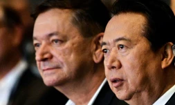 Alexandre Prokoptchouk (gauche), le candidat russe à la présidence d'Interpol, et Meng Hongwei, l'ancien patron de cette organisation, photographiés à Singapour le 4 juillet 2017