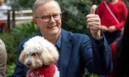 Le nouveau Premier ministre australien Anthony Albanese, le 22 mai 2022 à Sydney