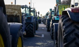 Des agriculteurs belges bloquent la circulation sur un échangeur prÚs de Namur dans le sud du pays, le 28 janvier 2024