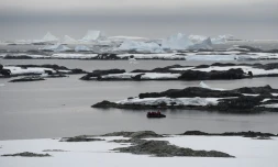 Près de la Winter Island, dans l'Antarctique, le 2 mars 2016