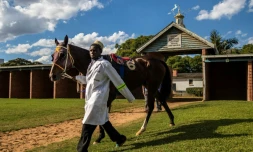 Préparation à la course hippique de la Castle Tankard à Harare, au Zimbabwe, le 6 mai 2017