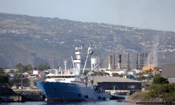 Le bateau Franche Terre de la Sapmer