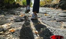Marche à pied (Archives)
