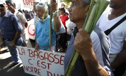 Mardi 6 Avril 2010

Manifestation des planteurs de la CGPER