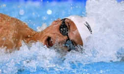 Florent Manaudou sur 100 m libre aux Championnats de France, le 1er avril 2016 à Montpellier