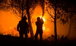 Des pompiers à l'oeuvre à Carnoux-en-Provence, dans le sud-est de la France, le 19 août 2017