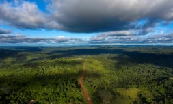 Vue aérienne de la transamazonienne, une route inachevée déjà percée sur 4.000 km à travers le "poumon de la planÚte", le 13 mars 2019
