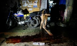 Après le meurtre d'un proche, une parente balaye en pleurant le sang devant sa porte, à Manille, le 22 septembre 2016