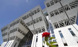 Conseil Régional