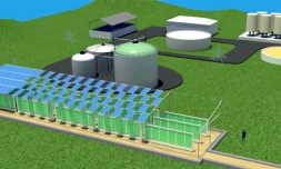 Visuel du projet - Unité de production micro algues et station d'épuration
Sainte-Rose (Photo : Bioalgostral)