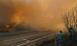 Un incendie près d'une autoroute à A Gudina, dans le nord-ouest de l'Espagne le 15 août 2025