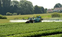 Trois ministères vont ouvrir pour trois semaines une consultation en ligne, ouverte à tous, sur les distances minimales à respecter entre habitations et zones d'épandage de produits phytosanitaires agricoles
