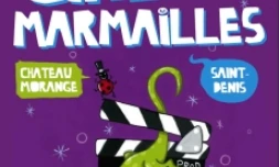 Festival Cinémarmailles 2010