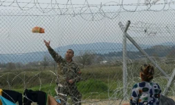 Un soldat macédonien lance du pain à une réfugiée, à la frontière entre la Macédoine et la Grèce, dans le camp de fortune d'Idomeni en Grèce, le 1er avril 2016