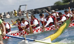 Dimanche 9 Mai 2010

Les "dragon boat" au Port