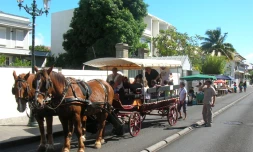 Dimanche à la Maison Carrère (Photo : DR)