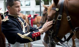 Un cavalier de la Garde républicaine prépare son cheval avant le défilé du 14 juillet 2014 sur les Champs-Elysées