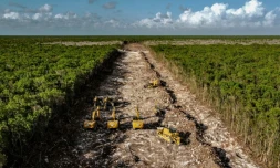 Le chantier de construction du "Train maya", entre Tulum et Playa del Carmen, le 14 avril 2022 au Mexique