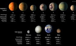 Représentation des sept planètes découvertes en orbite autour de l'étoile TRAPPIST-1