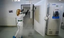 Congélateurs pour conserver les vaccins à l'Institut Cantacuzene à Bucarest le 18 décembre 2020