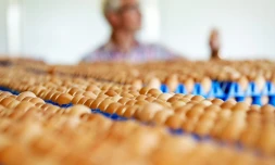 La crise des oeufs contaminés s'étend à la France et au Royaume-Uni